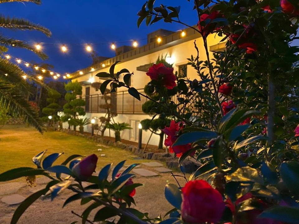 Jeju Abientot Villa Seogwipo Ngoại thất bức ảnh
